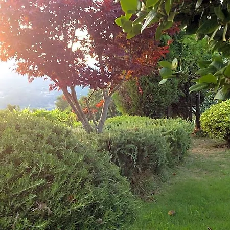 Hotel Quinta Da Calcada